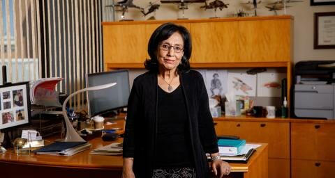 Aditi Chattopadhyay leans on her desk in her office at ASU. Model airplanes sit on a shelf behind her.